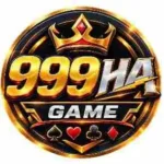 999HA Game APK icon