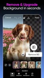 PicsArt Pro APK v30.2.3 (Premium/Gold Unlocked) 6