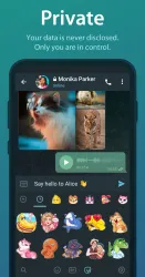 Telegram MOD APK (Premium Unlocked) 4